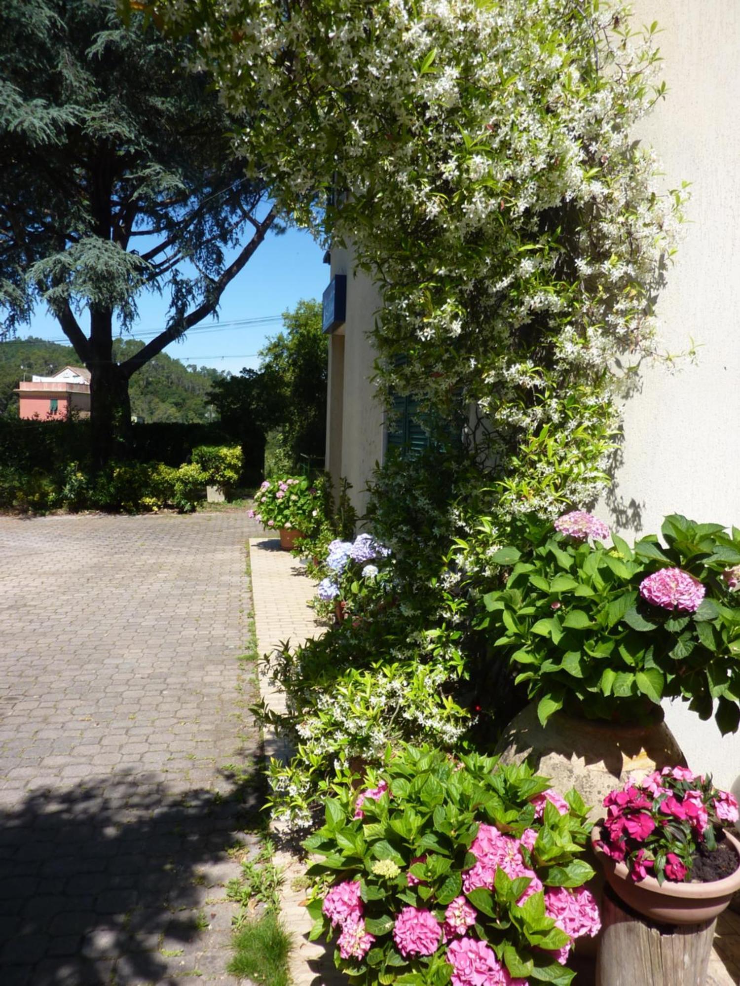 Hotel Silvia Framura - Cinque Terre Exterior photo