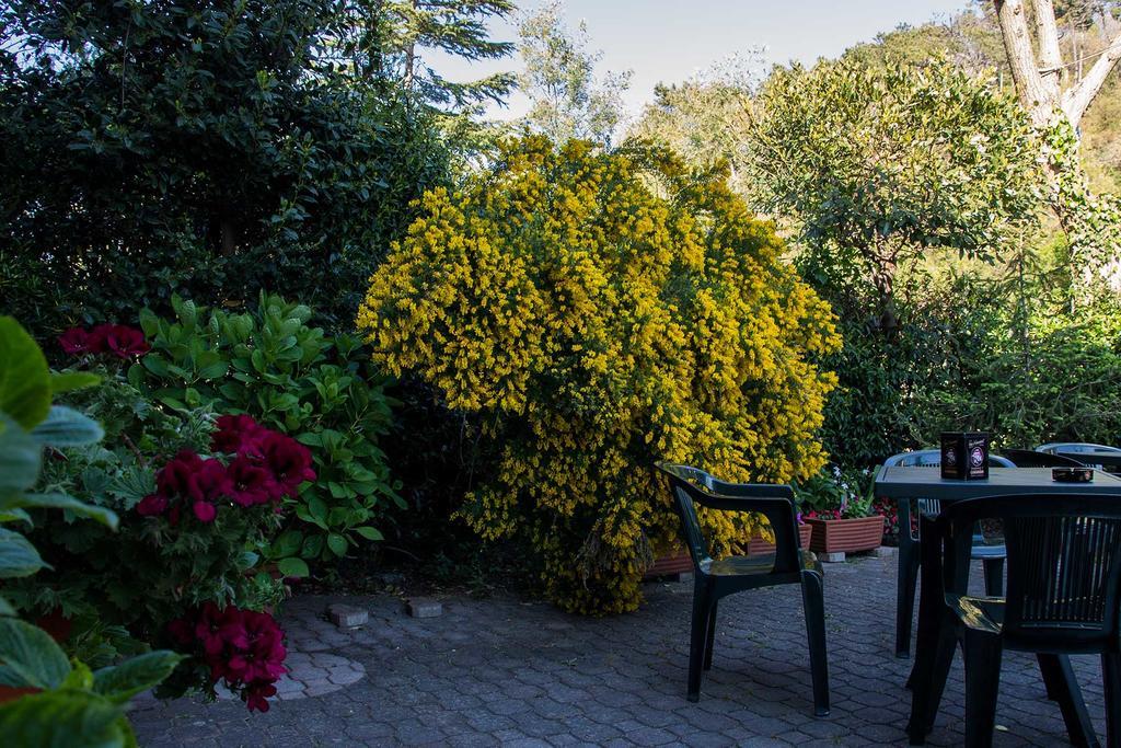 Hotel Silvia Framura - Cinque Terre Exterior photo
